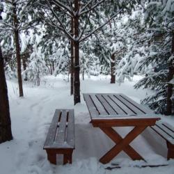 Фото Отель Кусочек рая в соснах