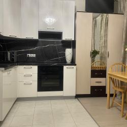 1-комнатные апартаменты студия