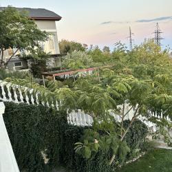 2-местный улучшенный номер Жемчуг