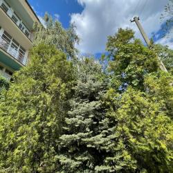 Фото Отель Волжская Здравница