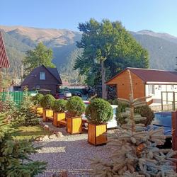 Фото Отель Уютный