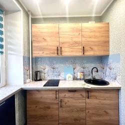 Фото Апартаменты на проспекте Ленина 37