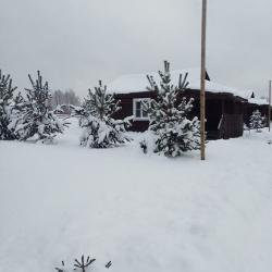 Фото Отель Аура