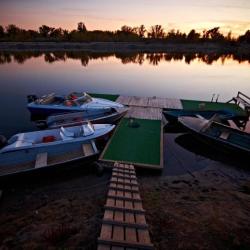 Фото Отель Золотая Рыбка