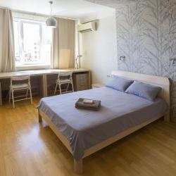 Апартаменты на улице Кирова 27/3 — 5a0ea227a449650eaf1dabfe54846b5a