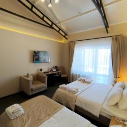 Номер полулюкс с 1 односпальной и 1 двуспальной кроватью