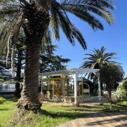 Фото Отель Amza Park Hotel (Амза Парк)