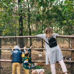 Фото Парк-отель Песчаный