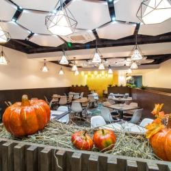 Sunflower Vnukovo ZONT Hotel Group (Санфлауэр Внуково) — 5a358ff2bf4db61a8fecf433d3ab58c7