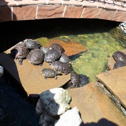 Фото Отель Камелот