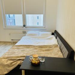 Фото Апартаменты на улице Суоярвская 24