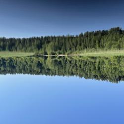 Фото Отель The Lagom (Лагом)