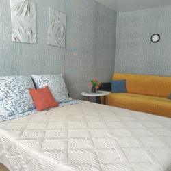 1-комнатные апартаменты эконом карла маркса 117