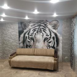 Фото Апартаменты на улице Пионерская 3