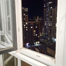 Фото Апартаменты Авион Артхаус