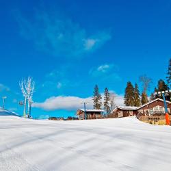 Фото Отель TSELEEVO CLUB & RESORT (Целеево Клуб & Резорт) (бывш. Целеево Гольф и Поло Клуб)