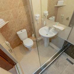 Фото Отель Pino Vere Palace Hotel (Пино Вере Палас)