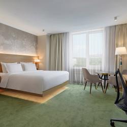 Номер улучшенный делюкс с 1 двуспальной кроватью