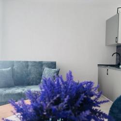 1-комнатные апартаменты стандарт