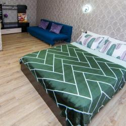 Фото Отель Family Apartments (Фэмили Апартментс) на улице имени Героя Сарабеева В. И. 7
