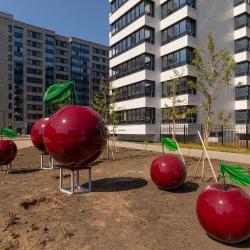 Фото Отель Red Apple Studio (Рэд Эпл Студио) на улице Торфяная дорога 17