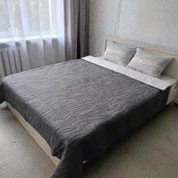 Фото Апартаменты на проспекте имени Ленина, 97