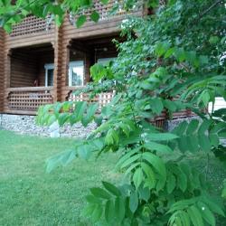 Фото Отель Феникс в Узнезе