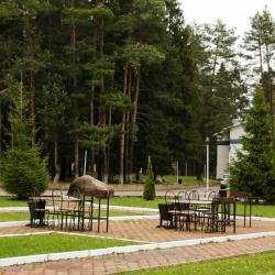 Фото Отель Лесная Сказка