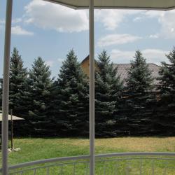 Фото Отель People Guest House (Пипл Гест Хаус)