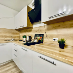 Фото Отель Гостим Посуточно на Червишевском тракте