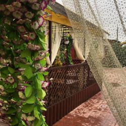 Фото Отель Алмаз