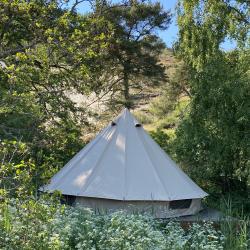 Фото Отель Ecolodge Zen (Эколодж Зен)