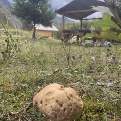 Фото Отель Ильгумень