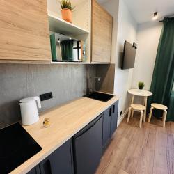 Апартаменты студия , Автозаводская 17к1