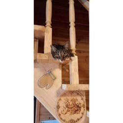 Коттедж улучшенный