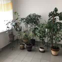 Фото Отель На Валге