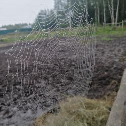 Фото Отель Гостевой дом Окулова Заимка