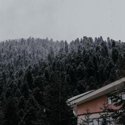 Фото Отель Dombay Winter Hall (Винтер Холл)