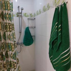 1-комнатные апартаменты студия Зелёный