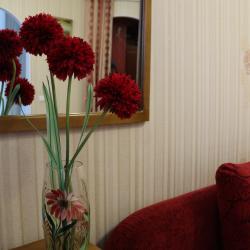 Апартаменты студия