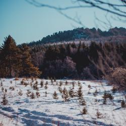 Фото Отель Арслан