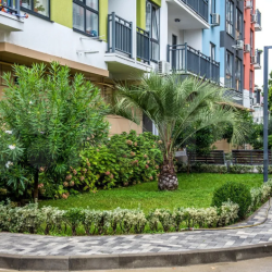 Фото Отель Квартира уютная в центре адлера