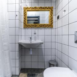 1-комнатные апартаменты стандарт Loft C