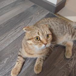 Фото Отель Клубная