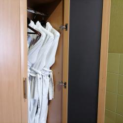 Номер люкс с 1 односпальной и 1 двуспальной кроватью (с завтраком)