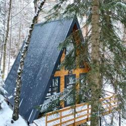 Коттедж стандарт A-Frame №2