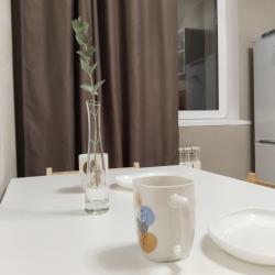 1-комнатные апартаменты студия