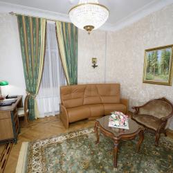 Номер люкс с 1 двуспальной кроватью (с завтраком)