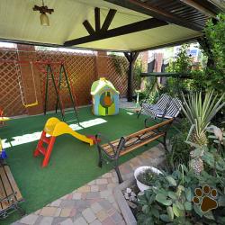 Фото Отель Багира