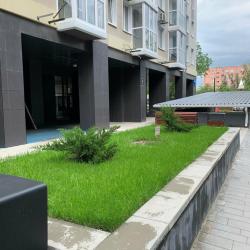 Фото Отель Уютная атмосфера на улице Мечникова 37